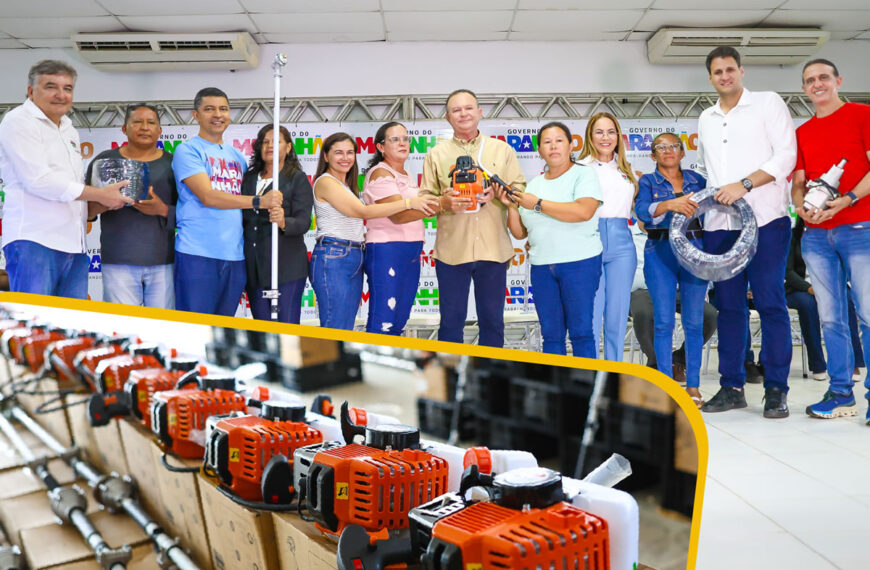 O Maranhão segue fortalecendo sua base produtiva
